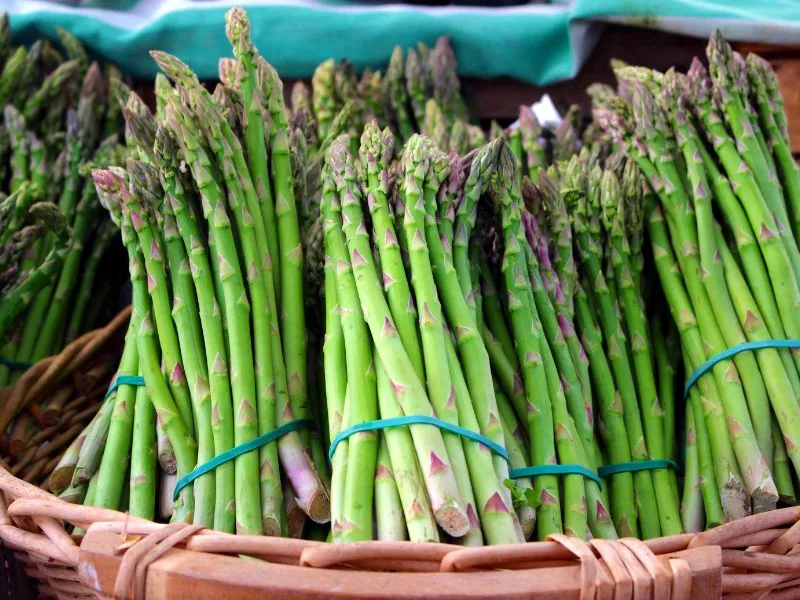 The Health Benefits of Asparagus: A Green Wonder